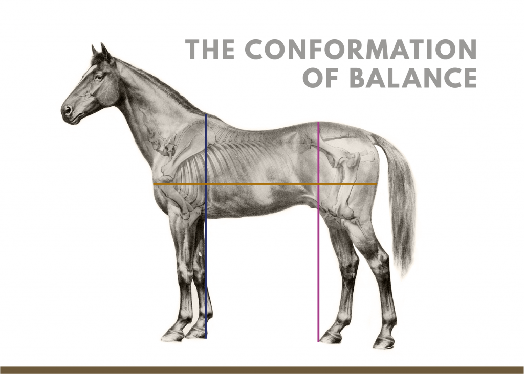 The Conformation of Balance – Maria Cooke